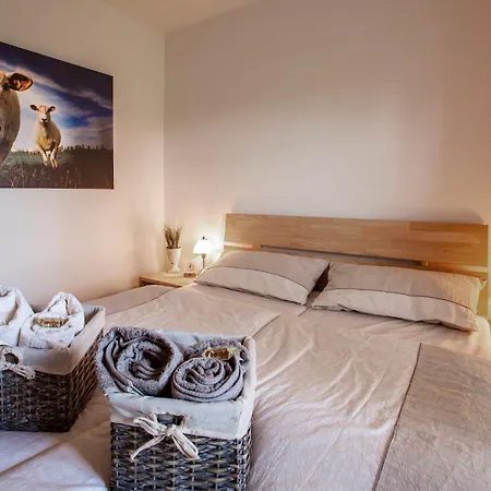 Hus Op De Wurth Austernfischer * Büsumer Deichhausen