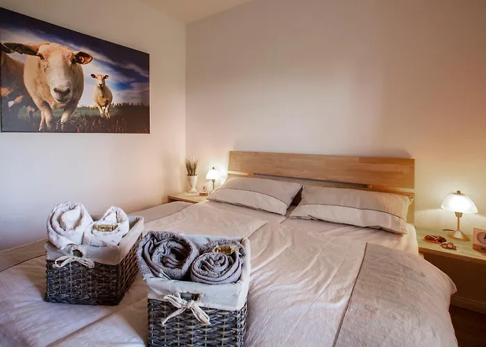 Hus Op De Wurth Austernfischer * Büsumer Deichhausen